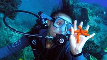 Rhodes Scuba Diving Experience