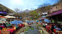 The Atlas Mountains and the 3 valleys with a delicious lunch in a Berber house