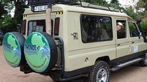 Tanzania Luxury Safaris for Honeymooners in Serengeti Park