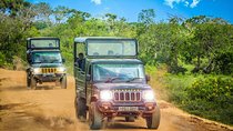 2 days yala National Park From Colombo with of Jeep Safari 