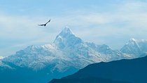 Private Half day Pokhara sightseeing 