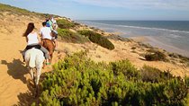 Donana National Park Horse or 4x4 Riding Day Trip