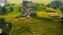 Sapa Trekking 3days - 2night by Bus with 1night homestay & 1night hotel