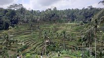 Ubud, Kintamani Volcanos Bali tour
