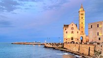 TRANI and Castel Del Monte UNESCO from your accomodation