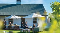 Micro-Group Barossa Valley Wine Tour from Adelaide