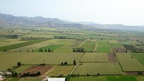 Santiago Full day tour to Casablanca Valley, include entraces for 2 vineyard.
