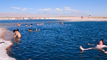San Pedro de Atacama: Half day Cejar Lagoon afternoon tour.