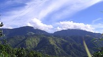Jamaica's Blue Mountain Hike & Coffee Tour from Runaway Bay