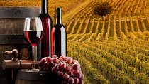 Bella Toscana Private Tour: 2 Chianti Wineries and San Gimignano From Livorno