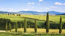 Livorno shore excursion: Bolgheri and Supertuscan private tour