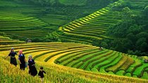 Hanoi-Sapa Trek 2 days 2 nights in Hotel with small group