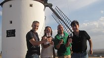 Windmills of Don Quixote Wine Tour & Tasting from Madrid