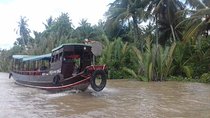 Mekong Delta Adventure Day Tours