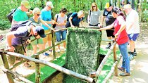 Cu Chi Tunnels - Half Day Luxury Small Group Tours