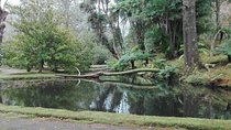 Furnas Lake Hotsprings and Gardens Van Tour
