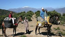 Family Day Trip to the Berber Villages of the Atlas Mountains