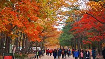 The Beauty of the Korea Fall Foliage Discover 11days 10nights