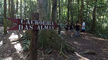 2 Days in Rio: Tijuca Forest & Two Brothers Hiking Tours