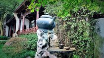Half-Day Hangzhou Tea Culture and Hupao Spring Private Tour