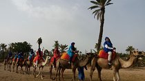 Camel Ride & Quad Bike tours in the palm grove of Marrakech