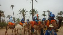 Camel ride Marrakech