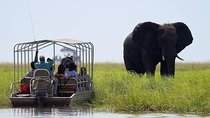 Chobe National Park Safari Full Day-trip