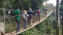Three-day Nyungwe Canopy and Kivu Lake Adventure
