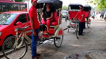 Old Delhi Rickshaw Tour