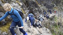 Machame Route 6 days 5 Nights/Kilimanjaro Climb 