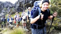  Lemosho Route 8 Days 7 Nights/Kilimanjaro Climb
