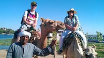 Luxor Camel Ride