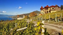 East Kelowna Wine Tour from Vernon - Classic - 4 Wineries