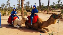 Activities in Marrakech: Camel ride tour