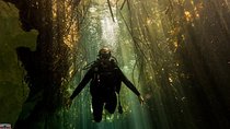 Discovery Scuba Diving