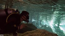 3 Cenote Dives - Casa & Dos Ojos