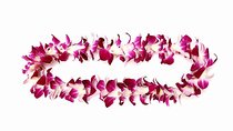 Orchid Airport Lei Greeting (Maui, Kahului Airport, OGG)