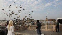 Kite Flying And Culture Walk In Old Delhi With Lunch Or Dinner