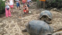 Ecuadorian Experience Guayaquil-Galápagos 8 Days 7 Nights