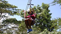 Ziplining Dunn's River Falls Excursion from Falmouth