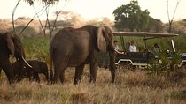 Amboseli Safari Special