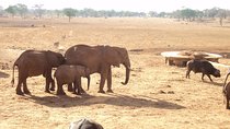 Amboseli National Park Full Day Tour from Nairobi