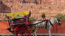Delhi Agra Same Day Private Tour With Guide