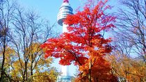 N Seoul Tower & Han river {Private Tour}