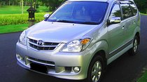 Private Vehicle with Driver at Bali free & easy-5 Hours