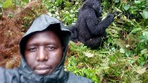 5 days gorilla trekking and Queen Elizabeth national park safari