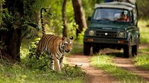 7 Days Golden Triangle Tour with Ranthambore: Delhi Agra Jaipur
