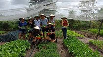 Unique farm to Table cooking class in Saigon
