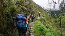 1 Day Inca Trail Tour to Machu Picchu Hike