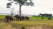 3 Days Safari to Nyerere National Park (Selous Game Reserve)